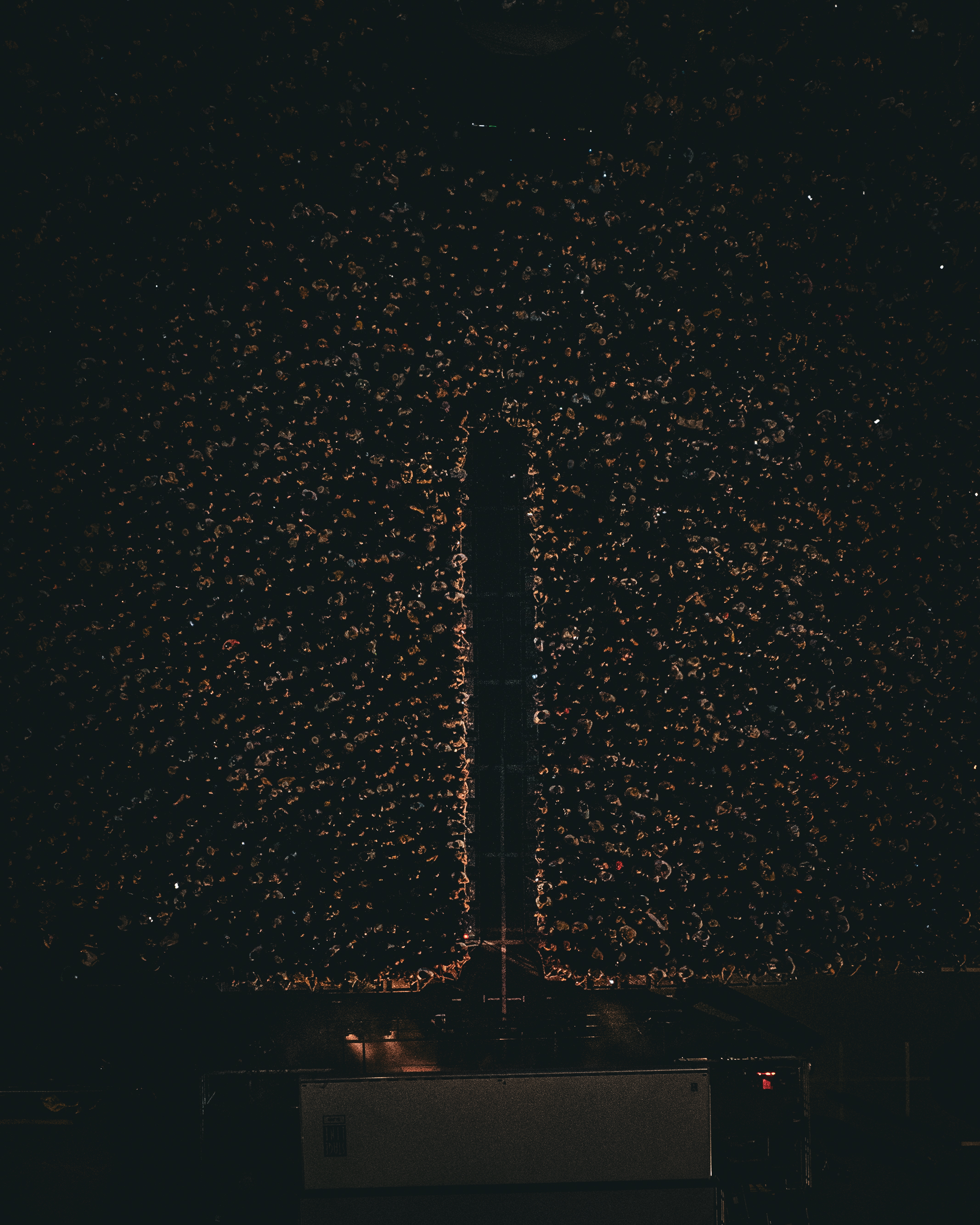 Aerial crowd shot